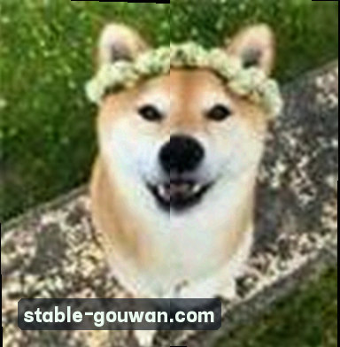 黄丽